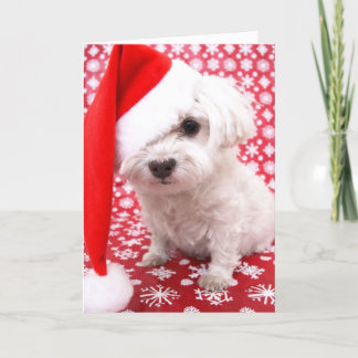 Carte de Noël à chiot