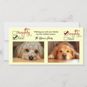 Carte de Noël à deux chiens