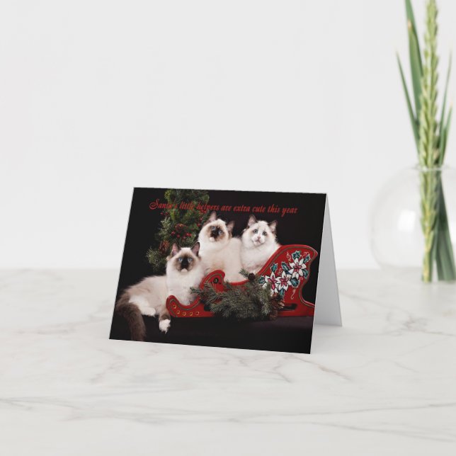 Carte de Noël adorable Ragdoll Kitten (Devant)