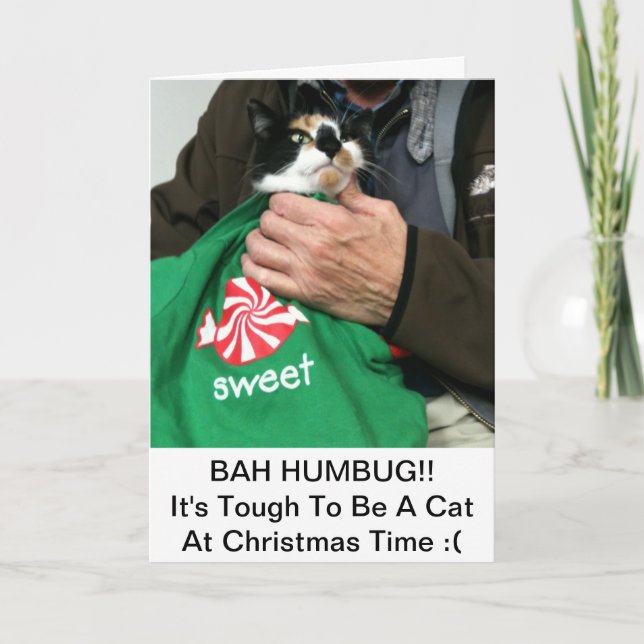 Carte de Noël Amoureux des chats ! ! ! (Devant)