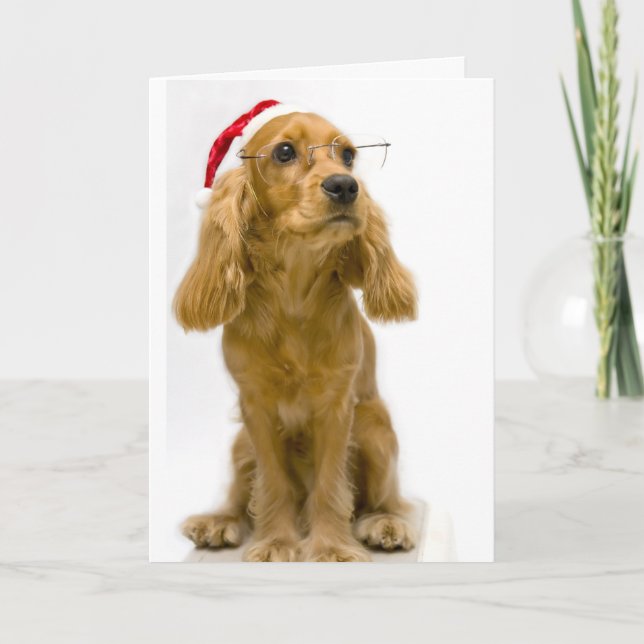 Carte de Noël amusante (Devant)