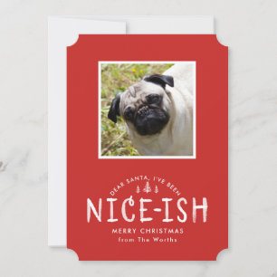 Carte de Noël amusante pour animaux familiers pour