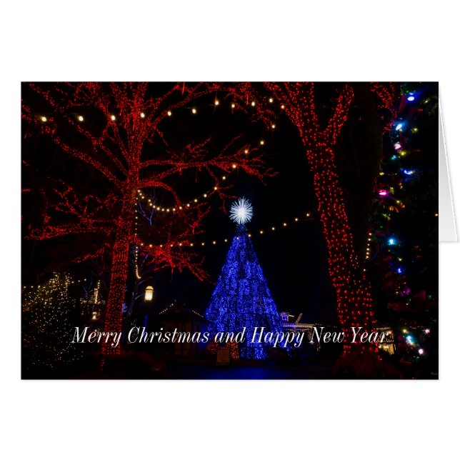 Carte de Noël argent Dollar City (Devant Horizontal)