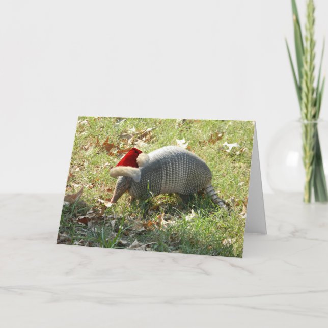 Carte de Noël Armadillo (Devant)