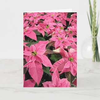 Carte de Noël au poinsettia rose