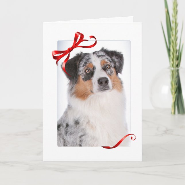 Carte de Noël australienne (Devant)