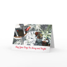 Carte de Noël aux oiseaux avec Insertion photo + T