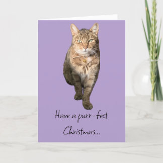 Carte de Noël avec charmant chat tabby