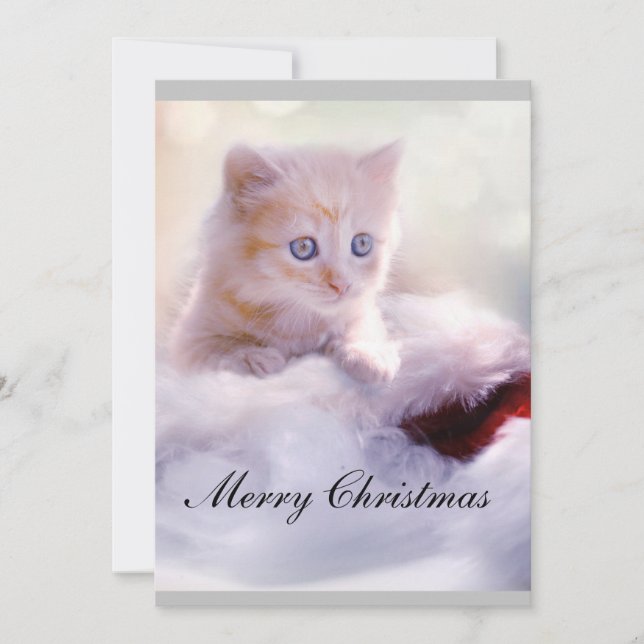 Carte de Noël avec chat. (Devant)