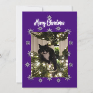 Carte de Noël avec chat smoking sur l'arbre.