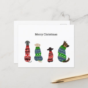 Carte de Noël avec Chiens portant un pull