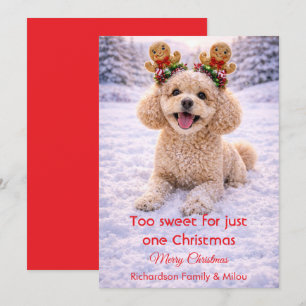 Carte de Noël avec citation douce de chien mignon