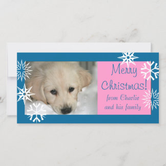 Carte de Noël avec photo de chien