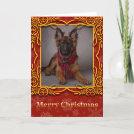Carte de Noël avec un berger allemand.