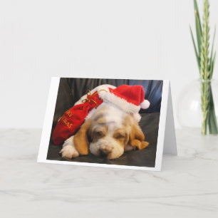 carte de noël Basset hound chiot