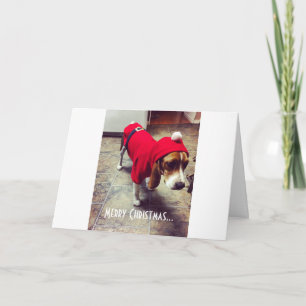 Carte de Noël Beagle Bah Humbug