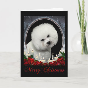 Carte de Noël Bichon