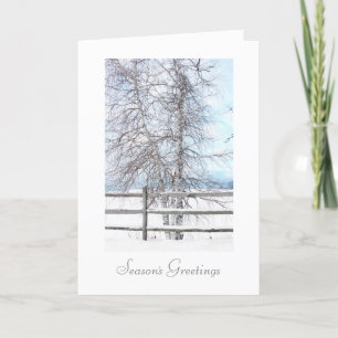 Carte de Noël Birch Tree Snow Scene