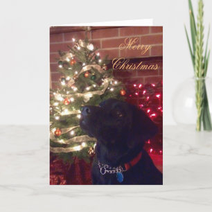 Carte de Noël Black Lab