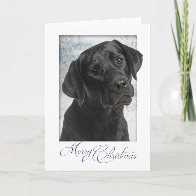 Carte de Noël Black Lab (Devant)