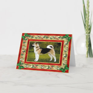 Carte de Noël blanche Akita Dog