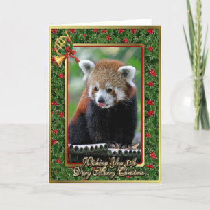 Carte de Noël blanche d'animal chinois Panda rouge