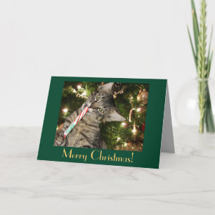 Carte de Noël blanche Sucre de canne de chat