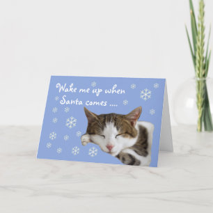 Carte de Noël bleue Chat couché mignon Snowflakes
