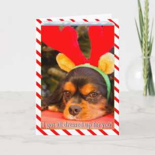 Carte de Noël Bored King Charles Spaniel Reindeer