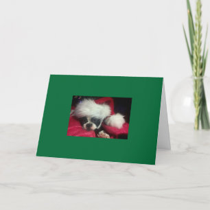 Carte de Noël Boston Terrier