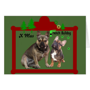 Carte de Noël Bouledogue français