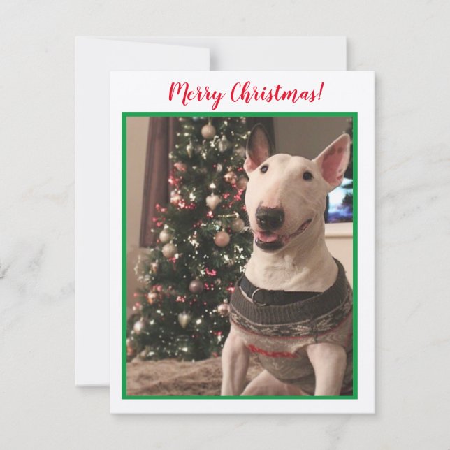 Carte de Noël Bull Terrier souriante (Devant)