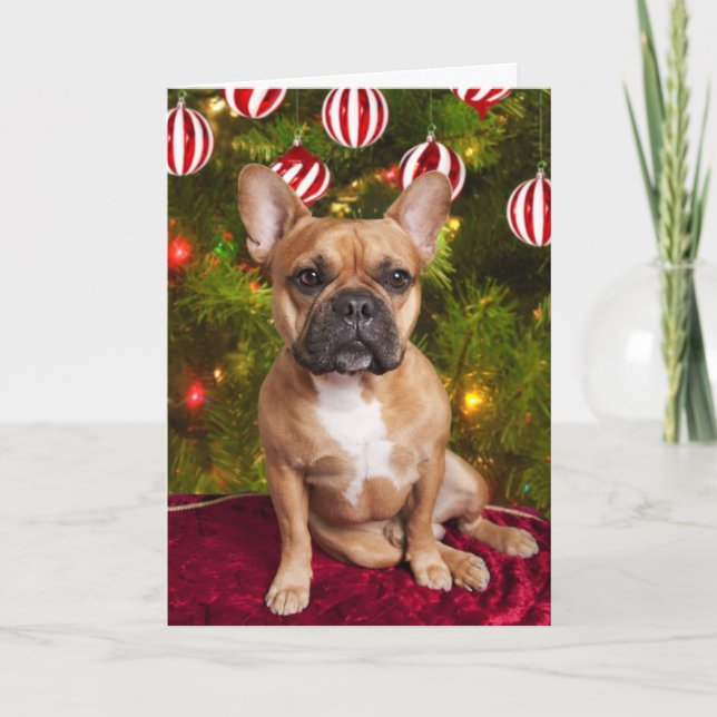 Carte de Noël Bulldog (Devant)