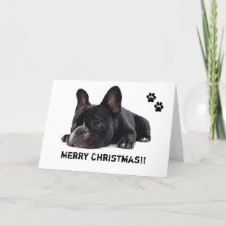 Carte de noël Bulldog