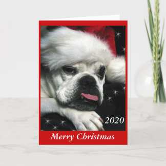 Carte de Noël Bulldog anglaise.