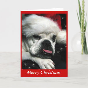 Carte de Noël Bulldog anglaise.