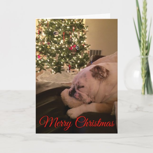 Carte de Noël Bulldog en anglais (Devant)