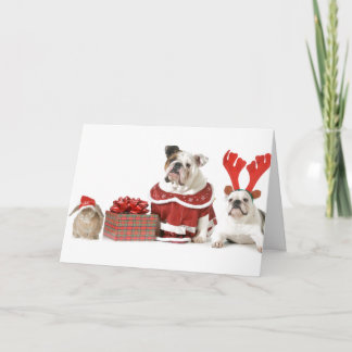 CARTE DE NOËL BULLDOGS AVEC LAPIN
