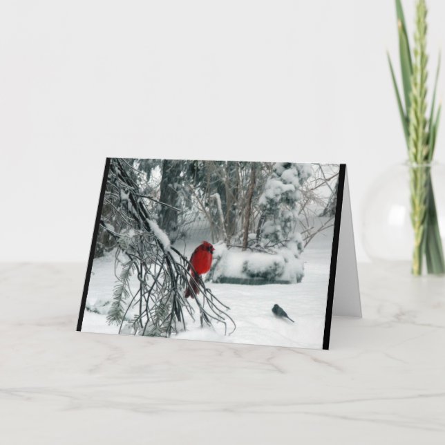 Carte de Noël cardinale de Milou (Devant)