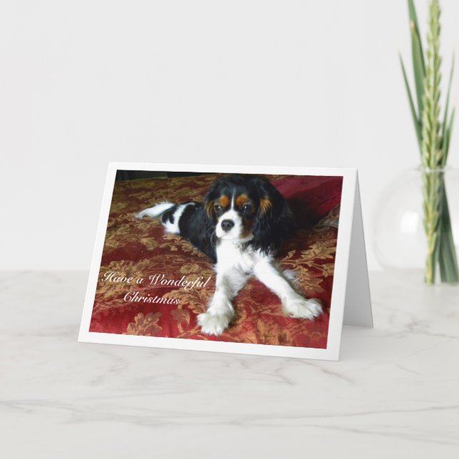 Carte de Noël Cavalier King Charles Spaniel (Devant)