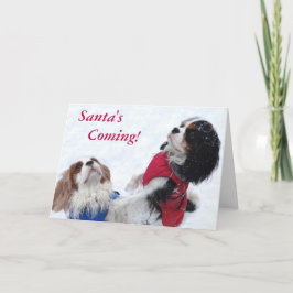 Carte de Noël Cavalier King Charles Spaniel