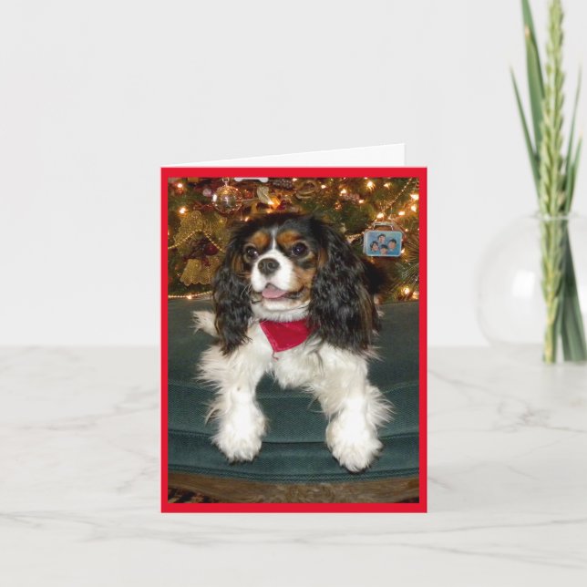 Carte de Noël Cavalier King Charles Spaniel (Devant)