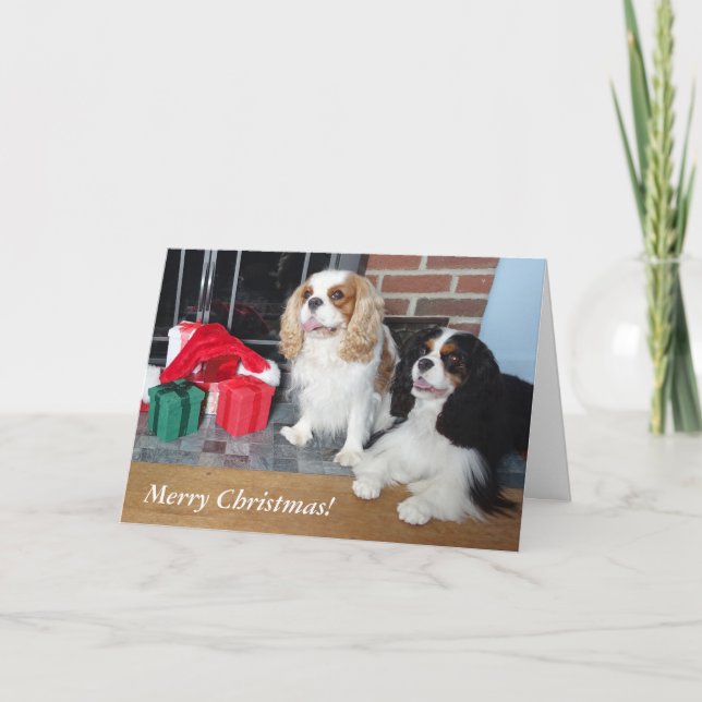 Carte de Noël Cavalier King Charles Spaniel (Devant)