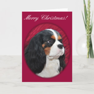 Carte de Noël Cavalier King Charles Tri-Color