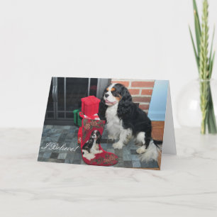 Carte de Noël cavalière du Roi Charles Tri-Color