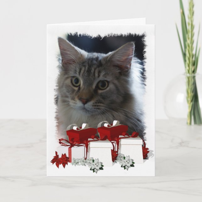 Carte de Noël Chat Avec Maine Coon Kitten (Devant)