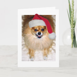 Carte de Noël | Chien de Père Noël de Poméranie