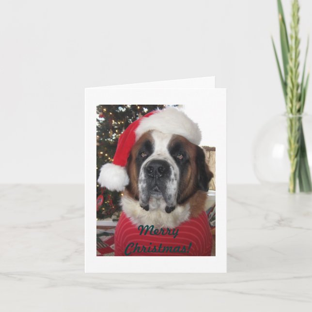 Carte de Noël Chien père Noël St. Bernard (Devant)