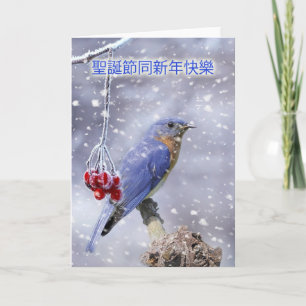 carte de noël chinois - oiseau bleu avec baies et
