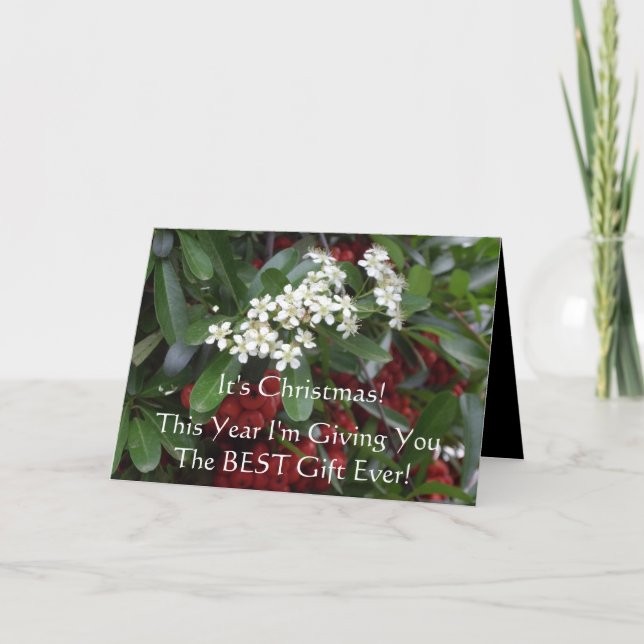 Carte de Noël chrétienne avec message évangélique (Devant)